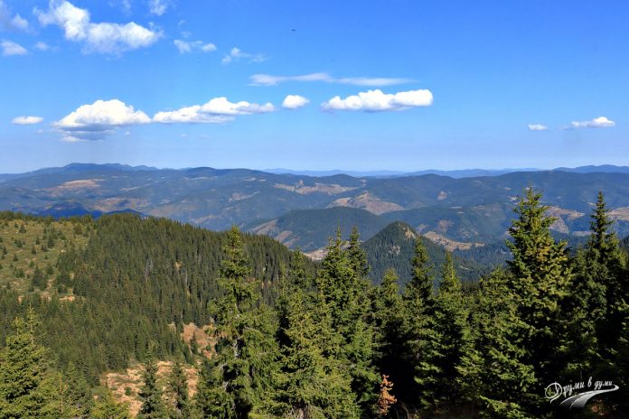 3 интересни крепости с екопътеки, недалеч от Пампорово